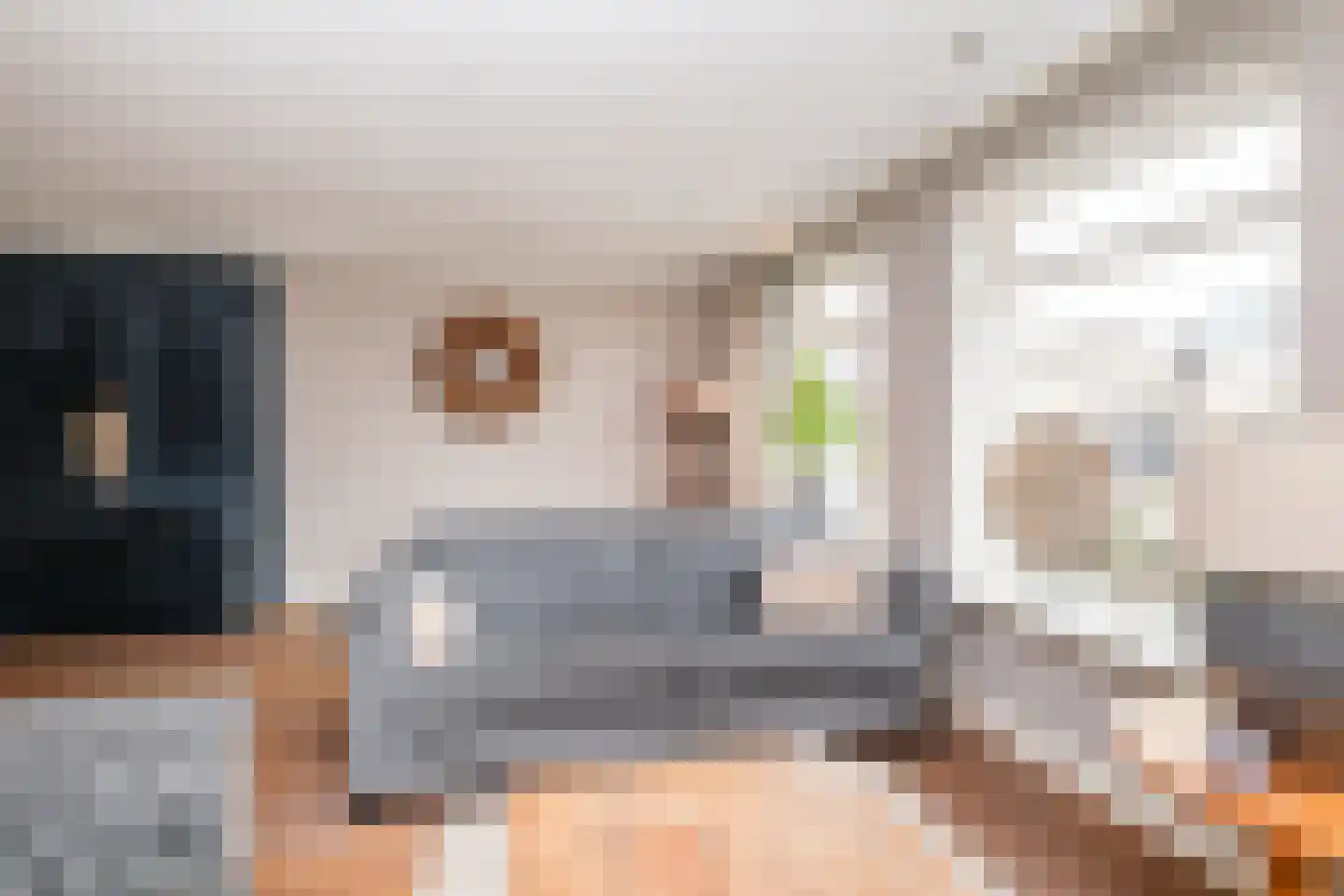 Oostermaat 33 Genemuiden thumbnail 10