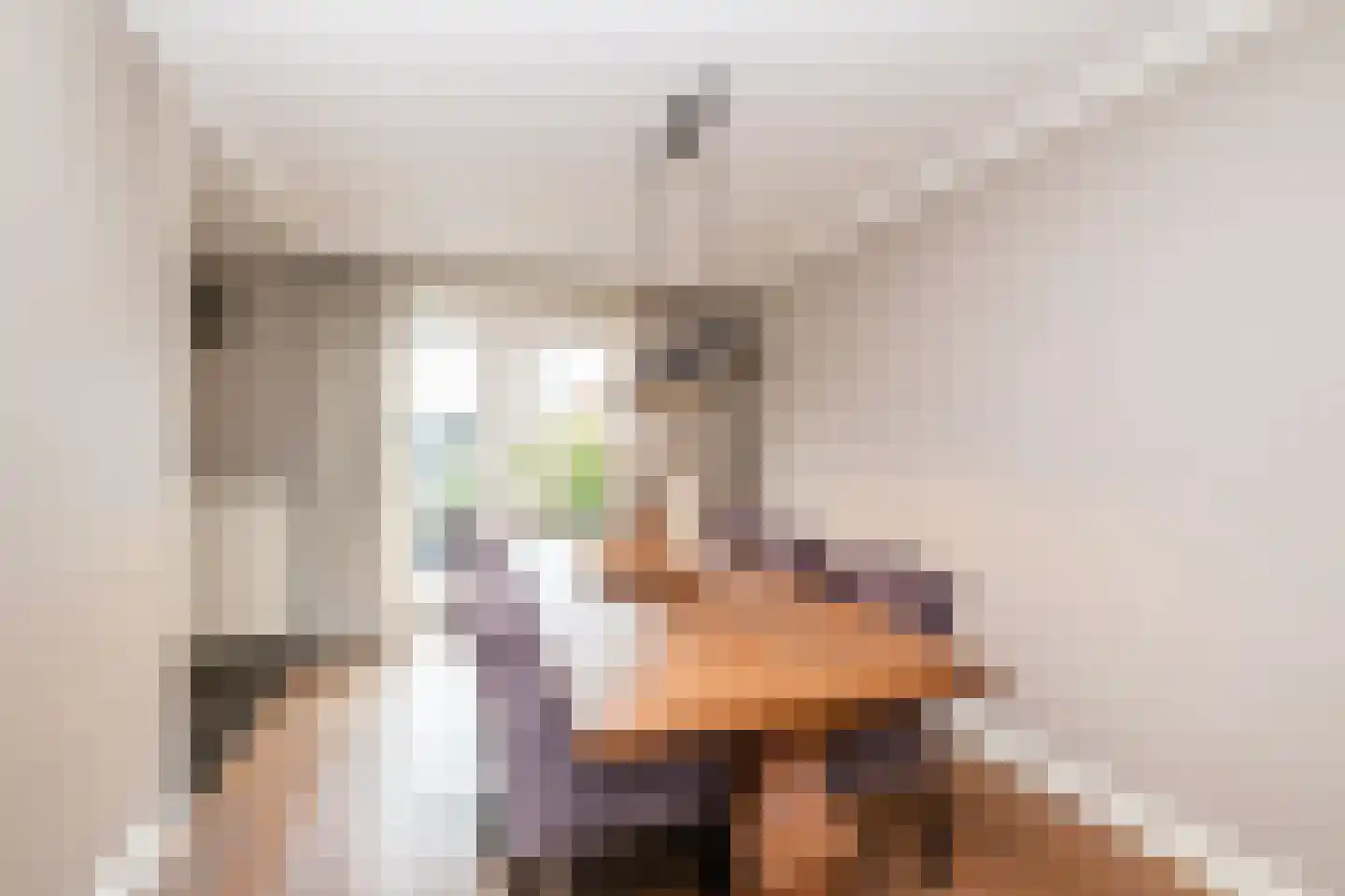 Oostermaat 33 Genemuiden thumbnail 12