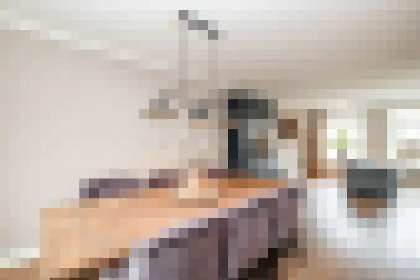 Oostermaat 33 Genemuiden thumbnail 13