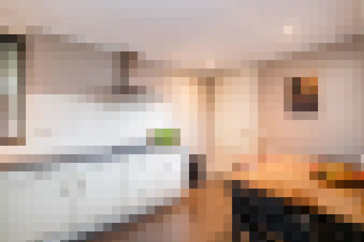 Oostermaat 33 Genemuiden thumbnail 15