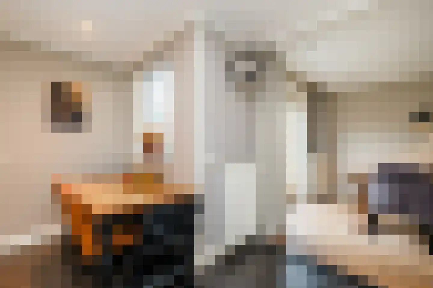 Oostermaat 33 Genemuiden thumbnail 16