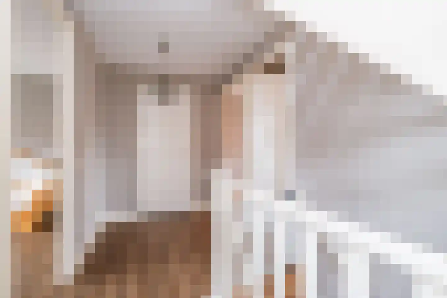 Oostermaat 33 Genemuiden thumbnail 19