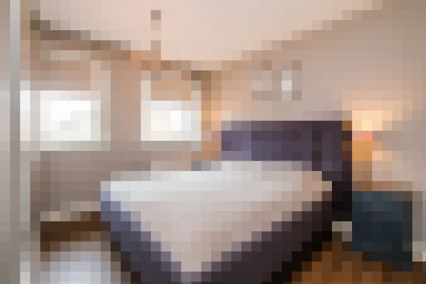 Oostermaat 33 Genemuiden thumbnail 20