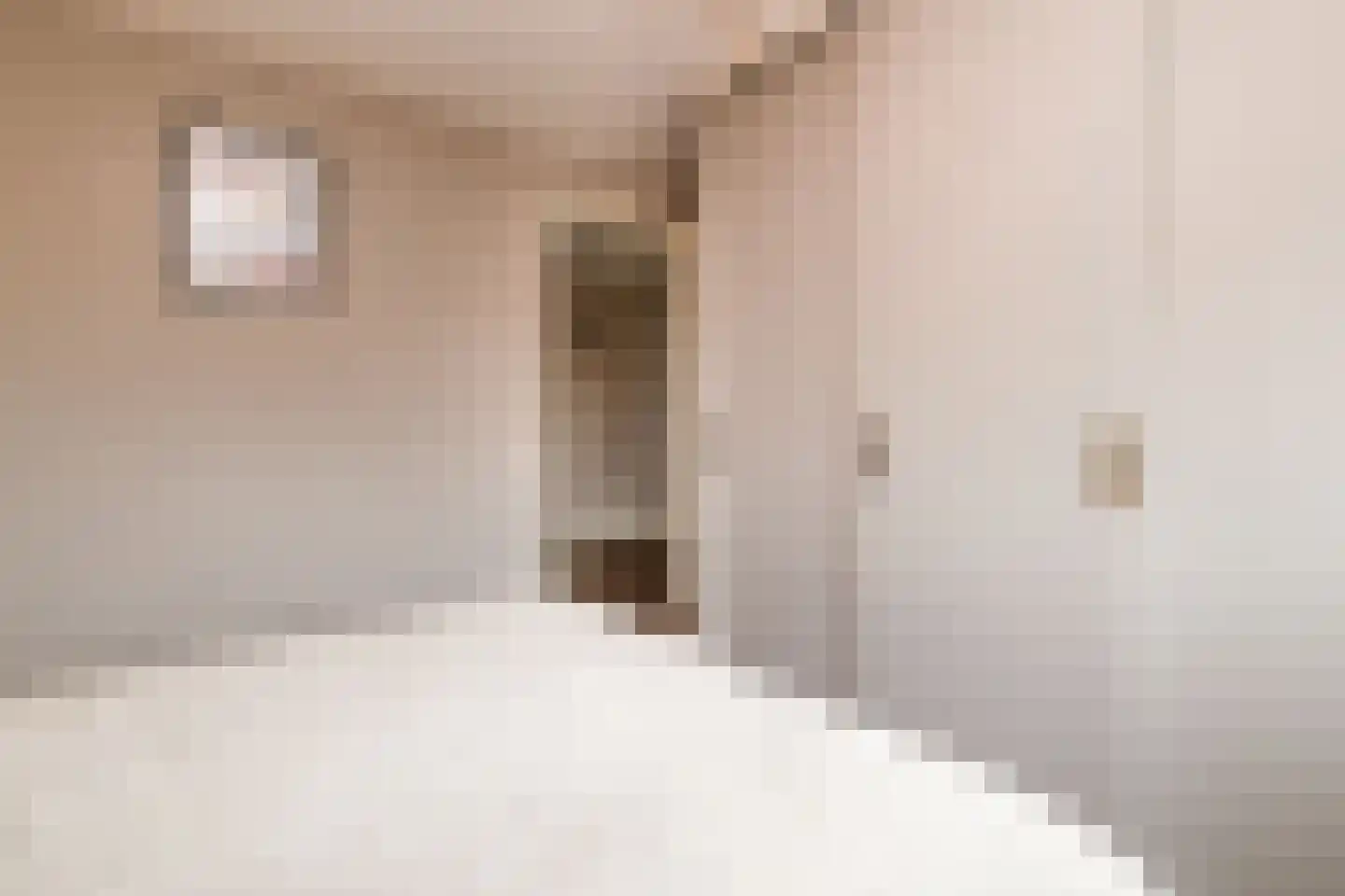 Oostermaat 33 Genemuiden thumbnail 21