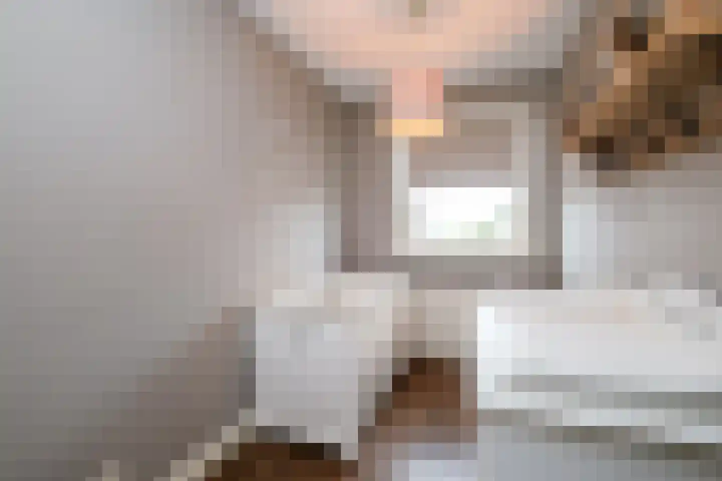 Oostermaat 33 Genemuiden thumbnail 22