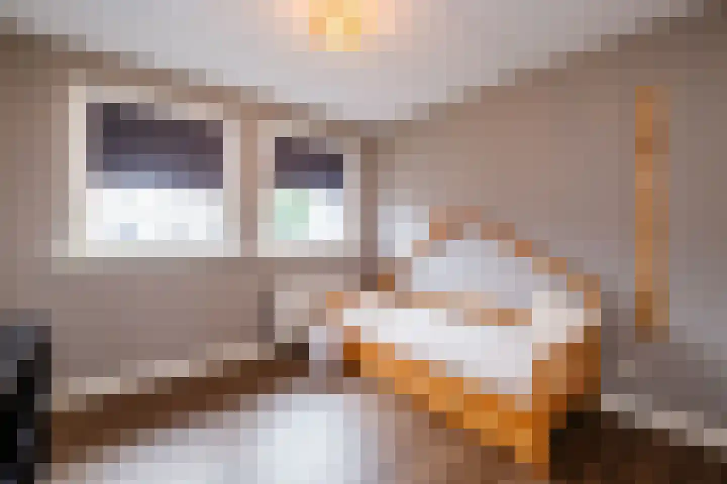 Oostermaat 33 Genemuiden thumbnail 24