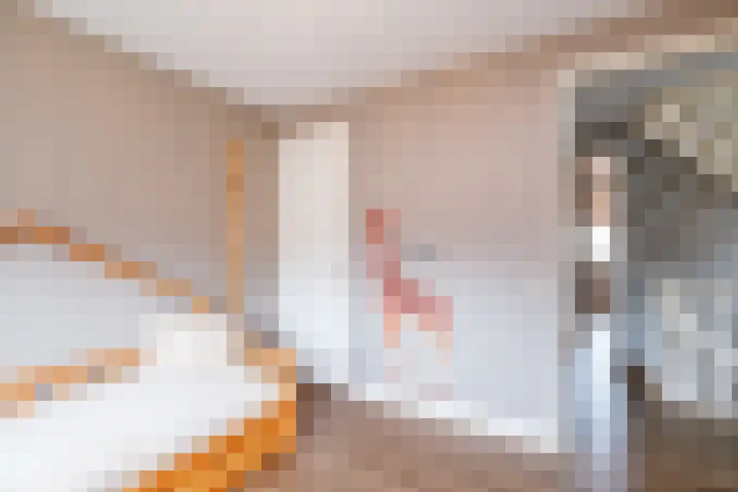 Oostermaat 33 Genemuiden thumbnail 25