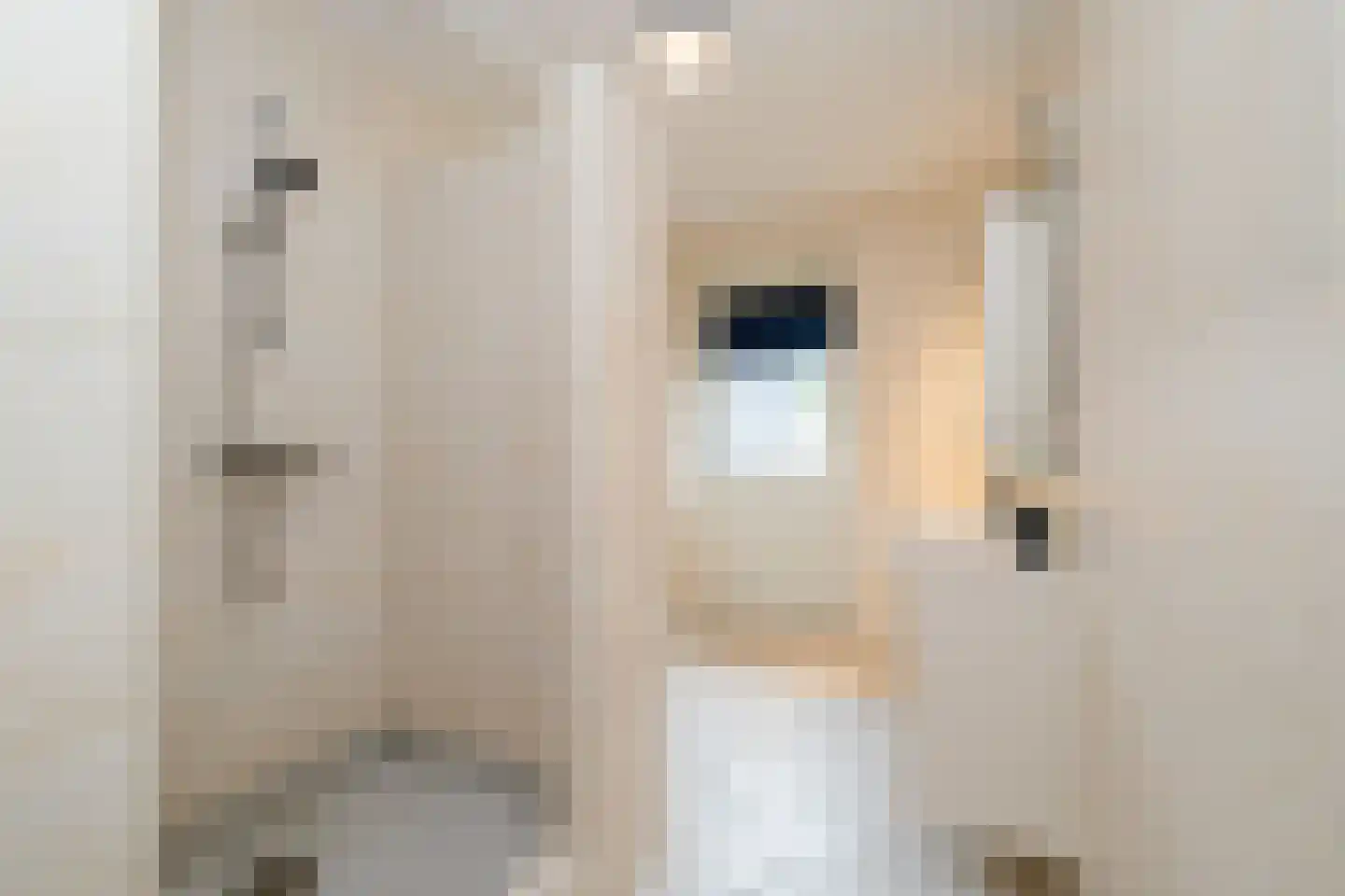Oostermaat 33 Genemuiden thumbnail 26