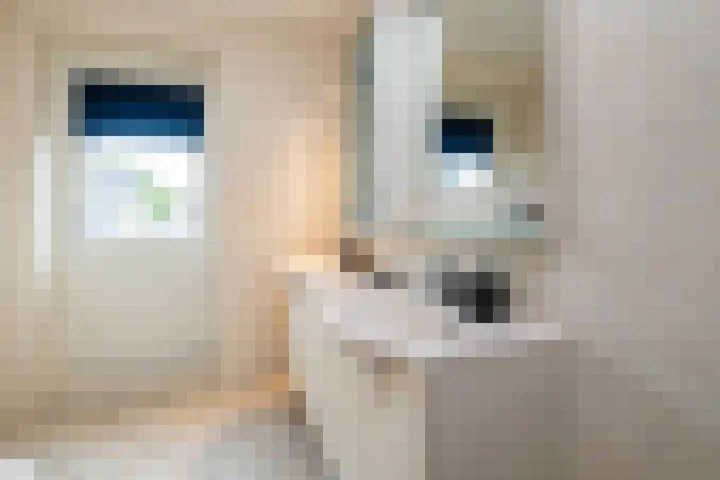 Oostermaat 33 Genemuiden thumbnail 27