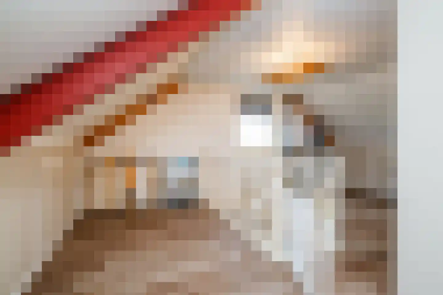 Oostermaat 33 Genemuiden thumbnail 29