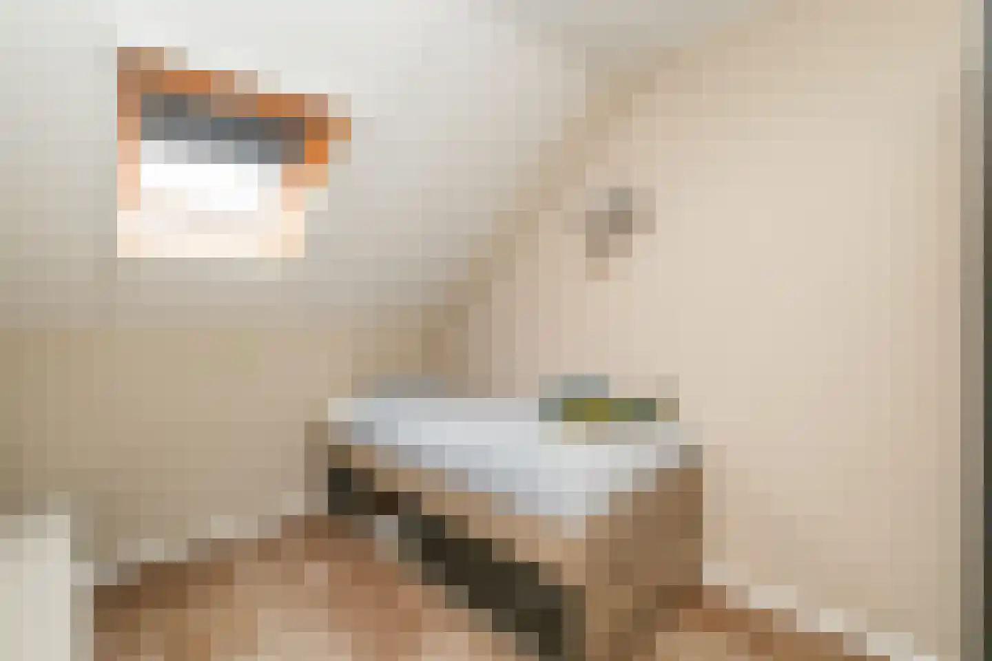 Oostermaat 33 Genemuiden thumbnail 30