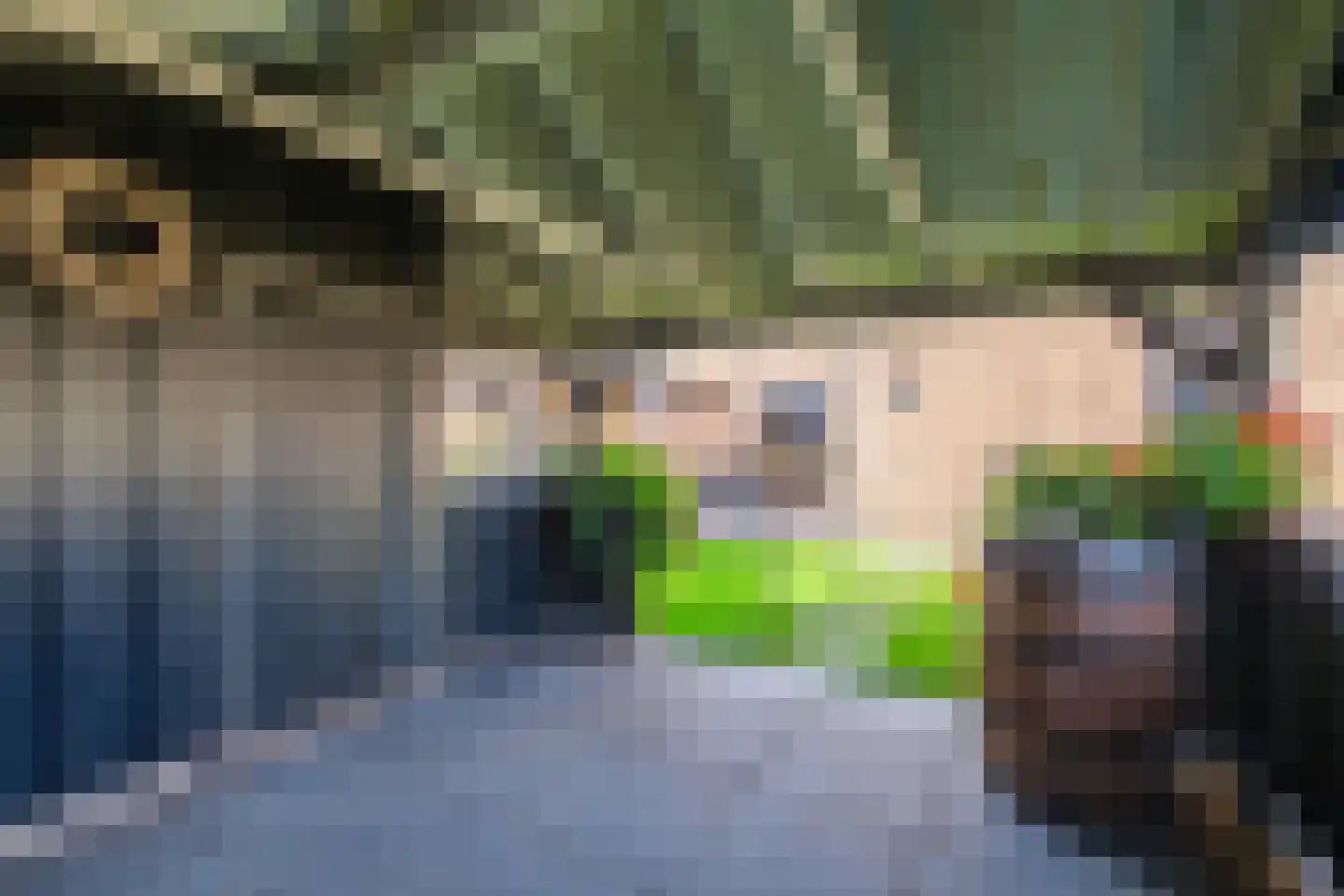 Oostermaat 33 Genemuiden thumbnail 34