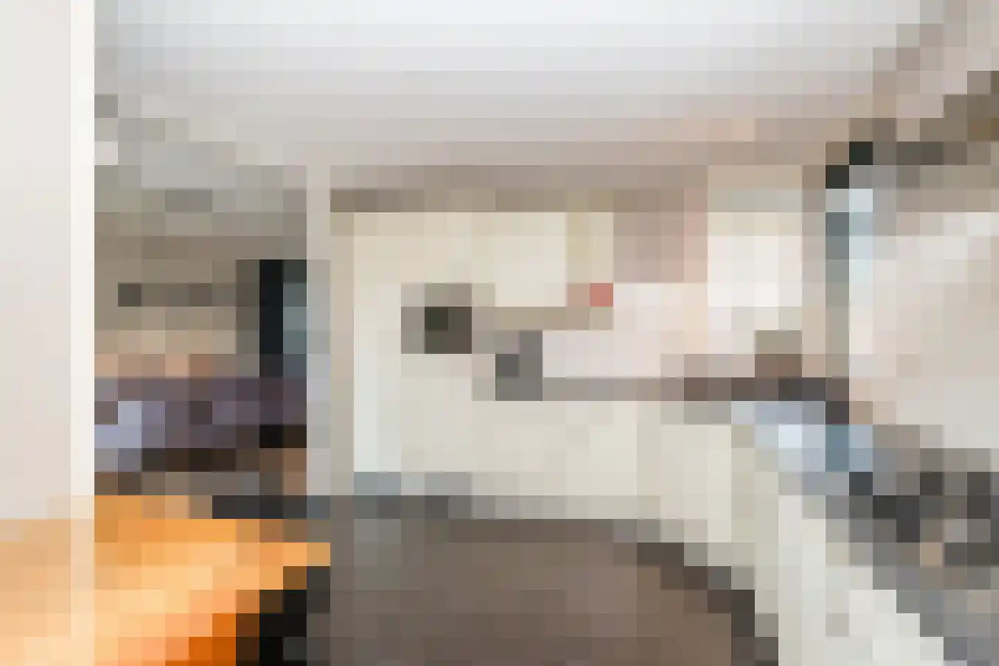 Oostermaat 33 Genemuiden thumbnail 4