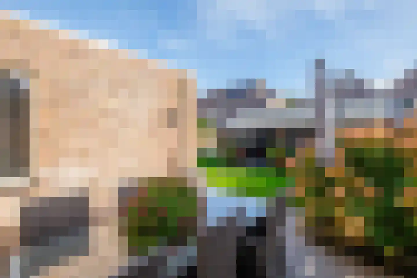 Oostermaat 33 Genemuiden thumbnail 41