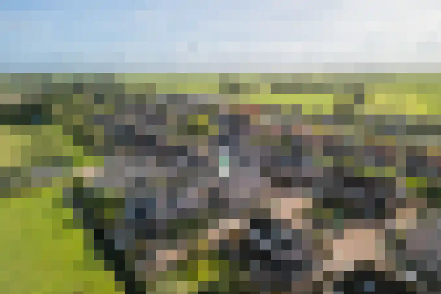 Oostermaat 33 Genemuiden thumbnail 53