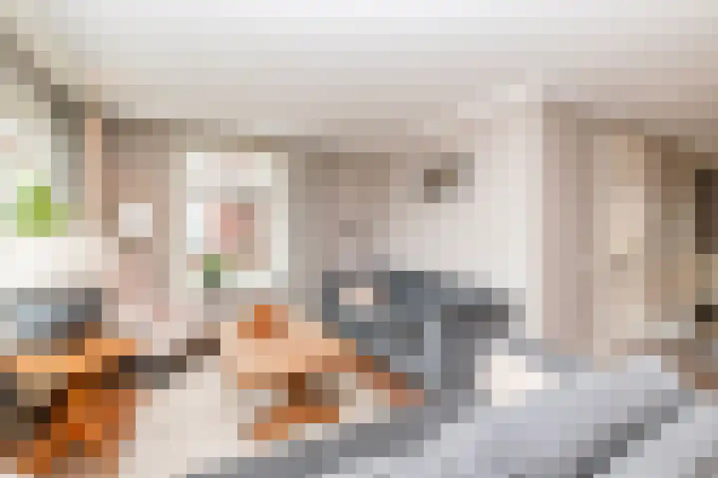 Oostermaat 33 Genemuiden thumbnail 8