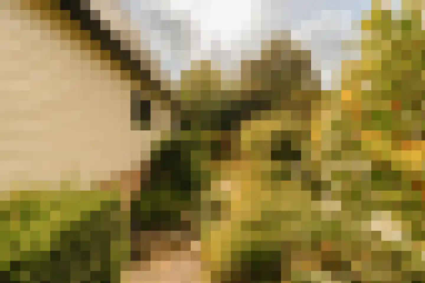 Oostermeerweg 7 Amstelveen thumbnail 5