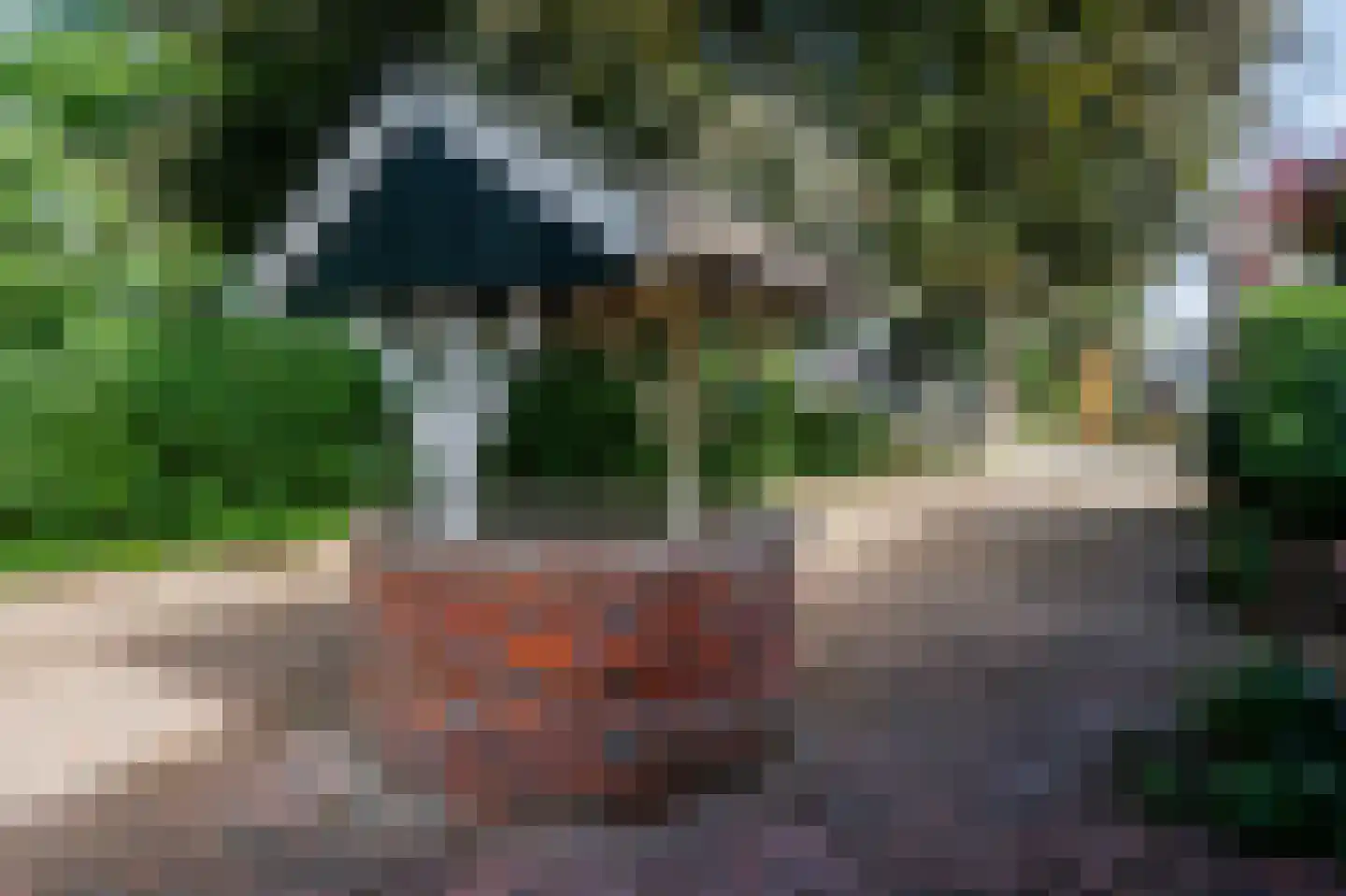 Oostermoer 2 Spijkerboor thumbnail 11