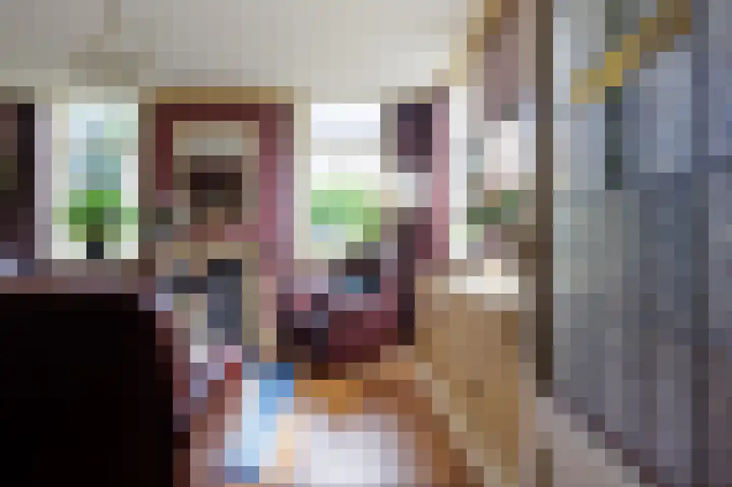 Oostermoer 2 Spijkerboor thumbnail 14