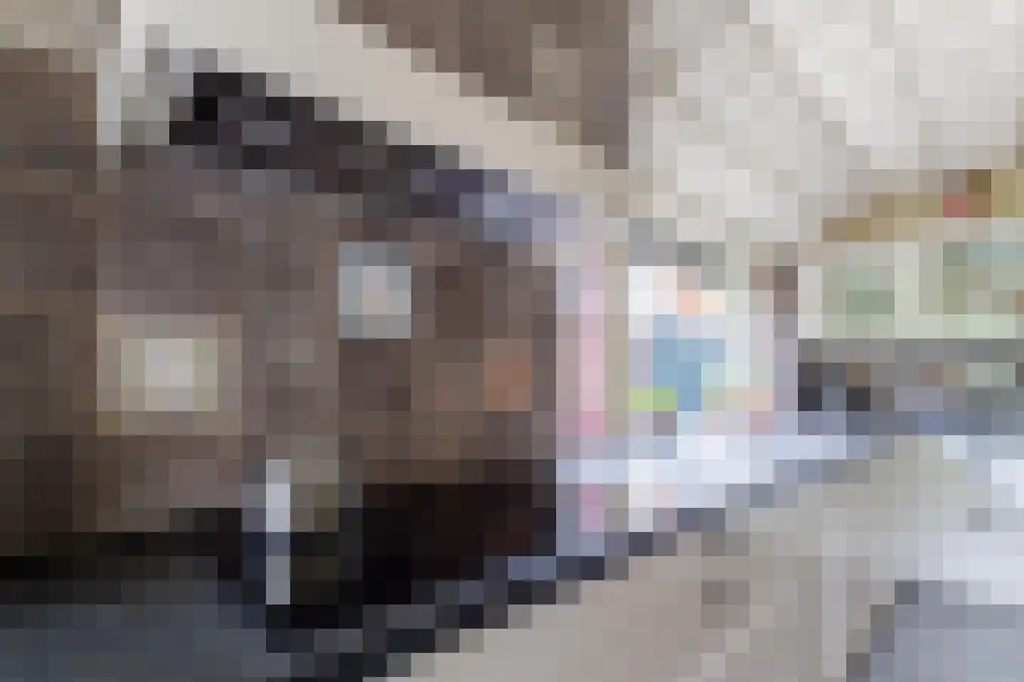 Oostermoer 2 Spijkerboor thumbnail 25
