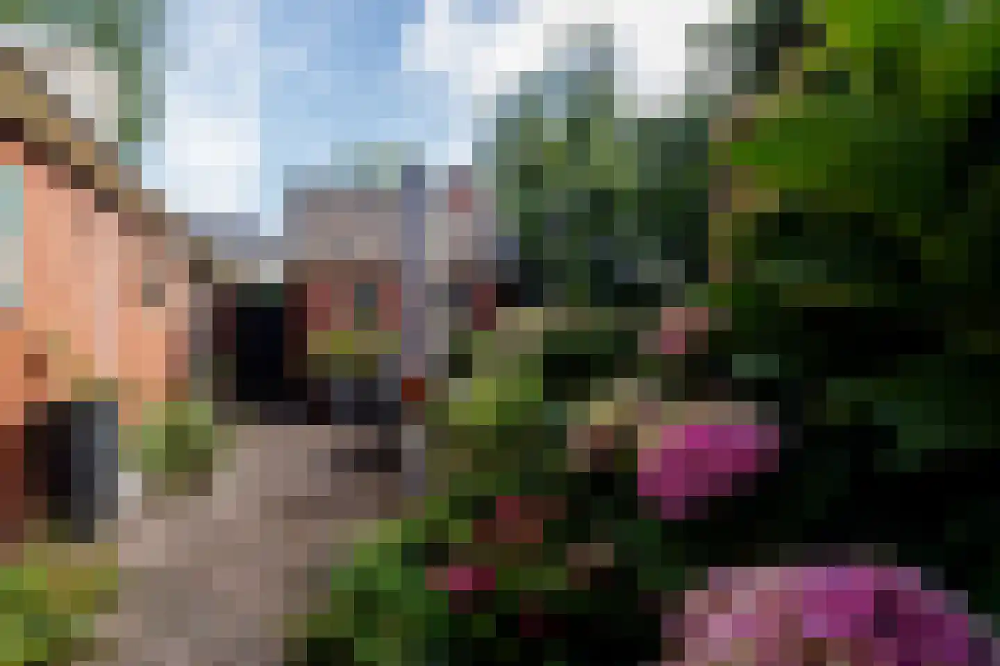 Oostermoer 2 Spijkerboor thumbnail 32