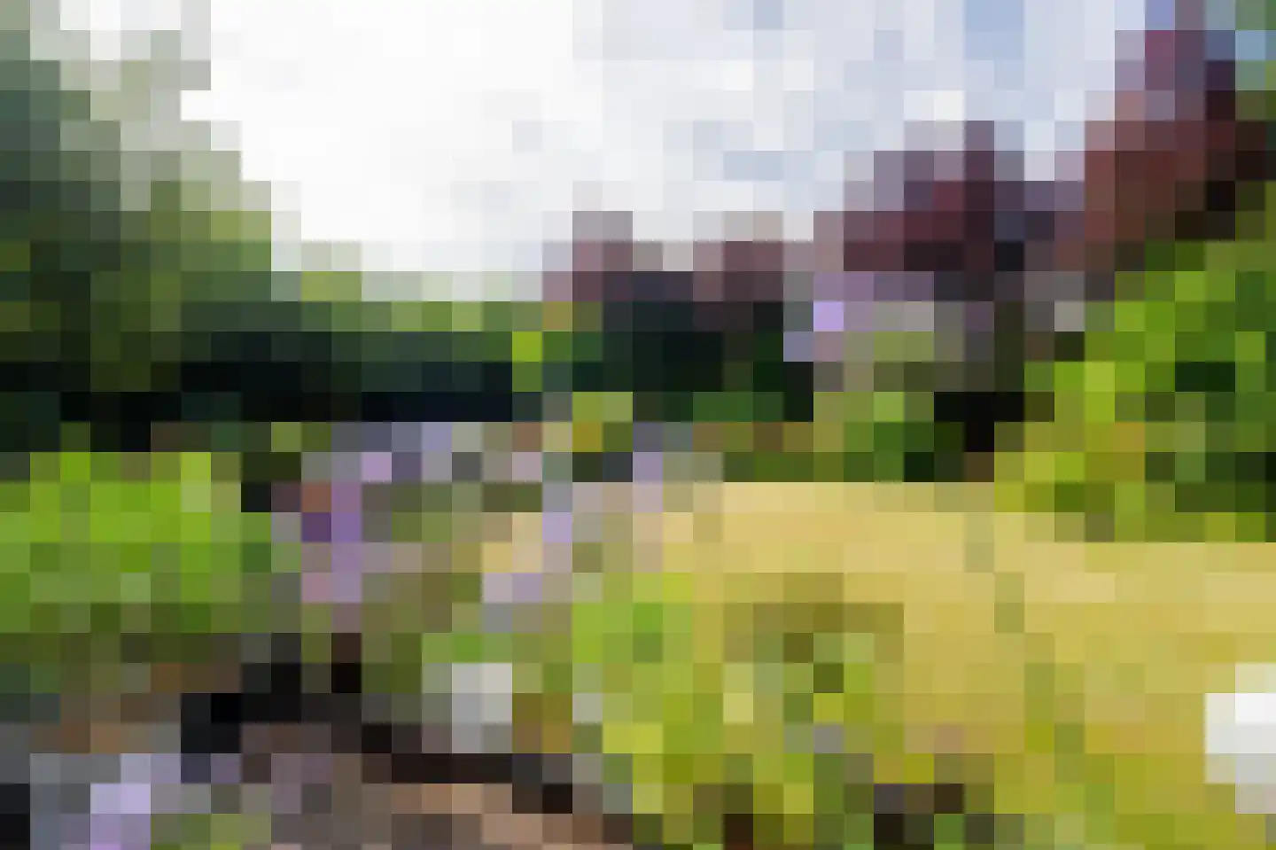Oostermoer 2 Spijkerboor thumbnail 4