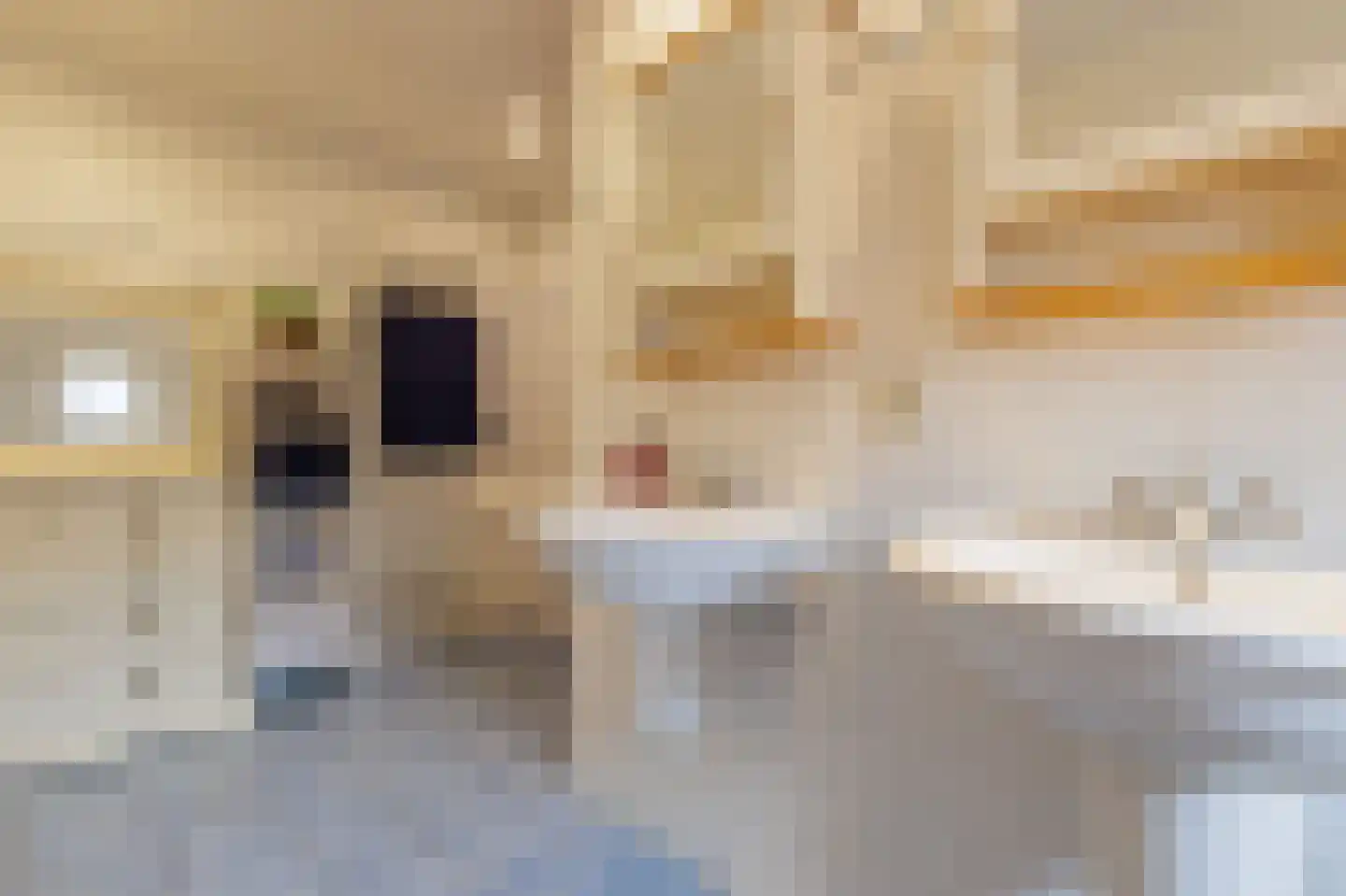 Oostermoer 2 Spijkerboor thumbnail 42