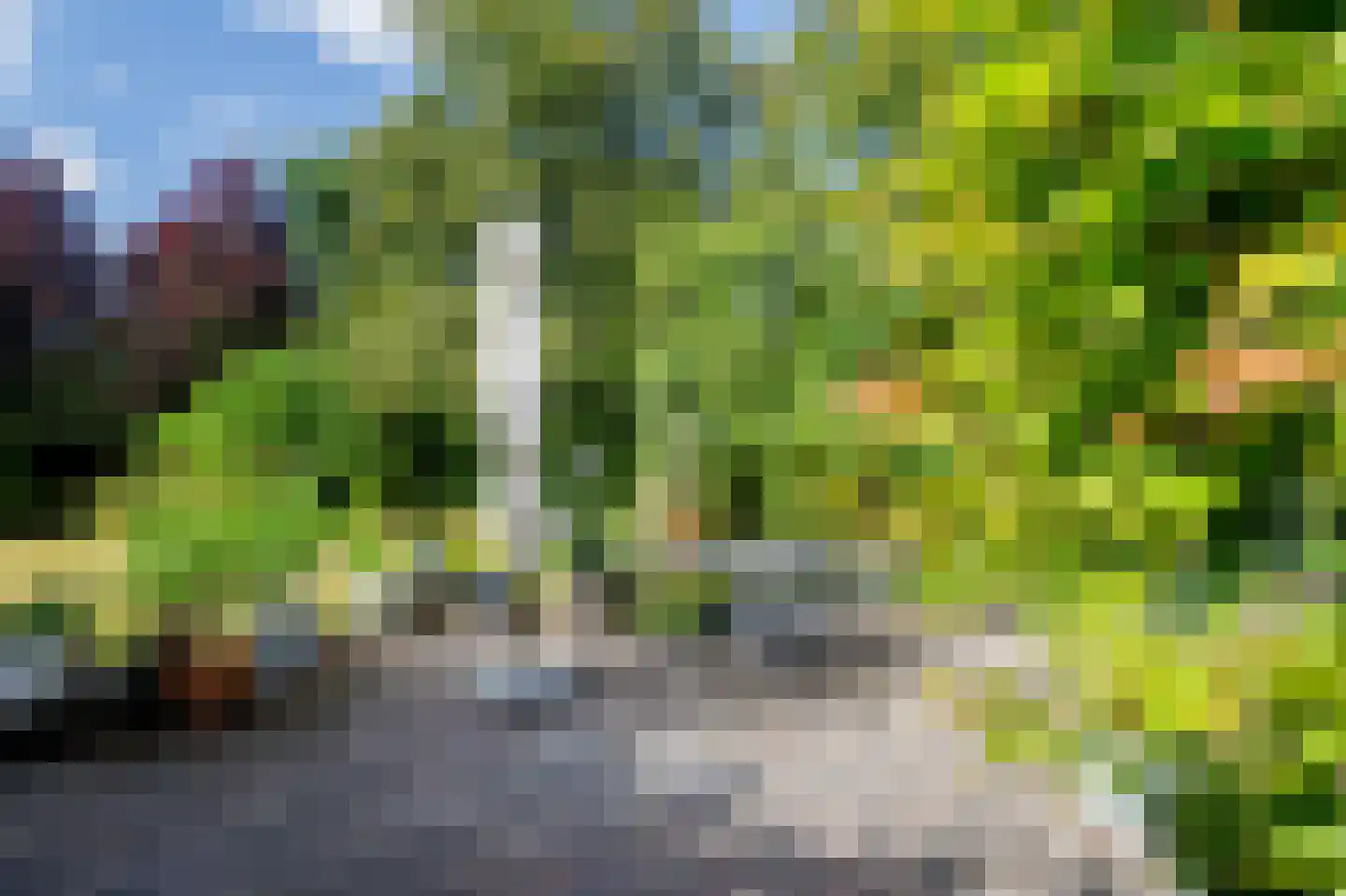 Oostermoer 2 Spijkerboor thumbnail 49