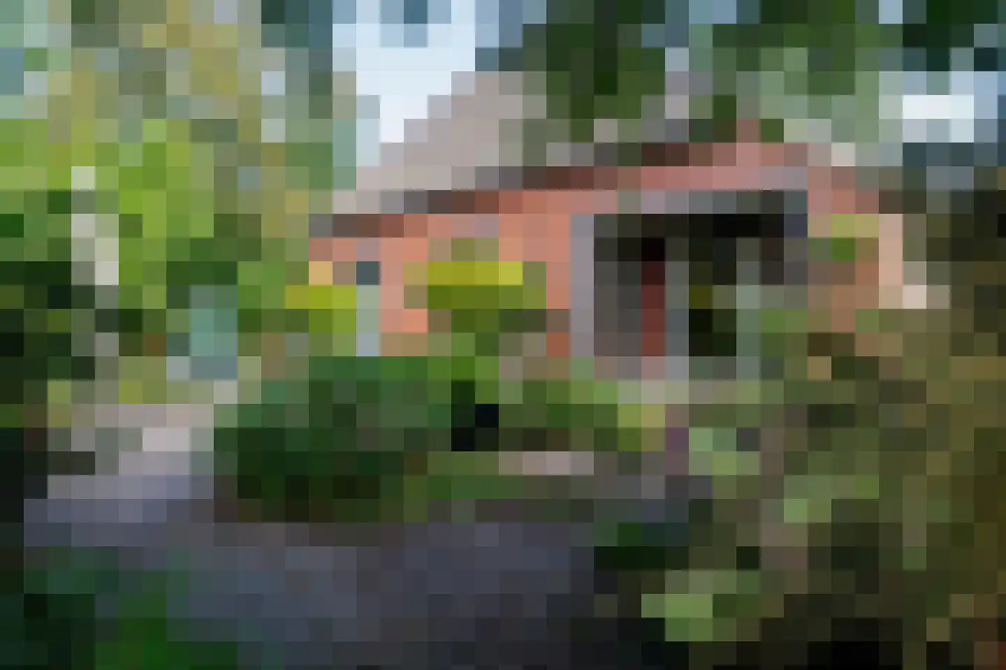 Oostermoer 2 Spijkerboor thumbnail 50