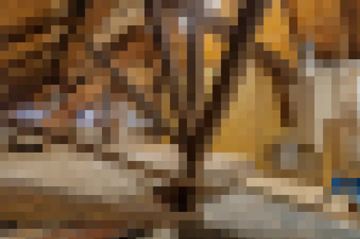 Oostermoer 2 Spijkerboor thumbnail 54