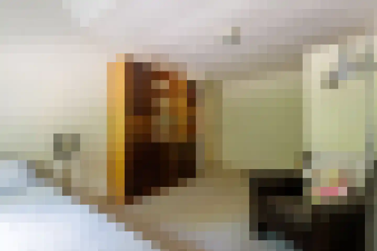 Oostermoer 2 Spijkerboor thumbnail 64