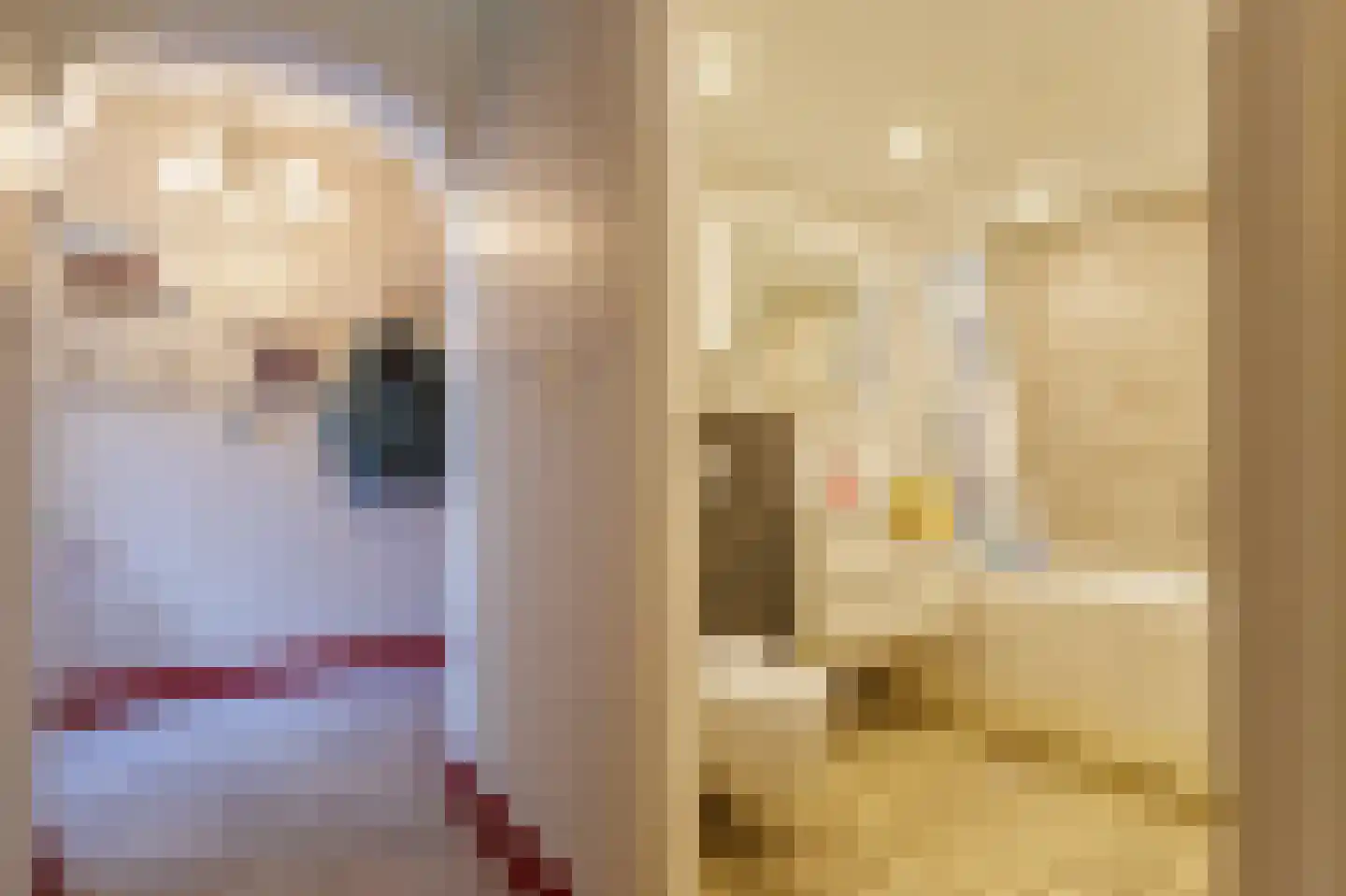 Oostermoer 2 Spijkerboor thumbnail 65