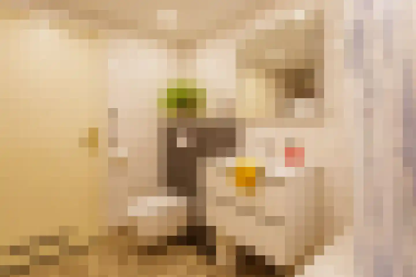 Oostermoer 2 Spijkerboor thumbnail 67