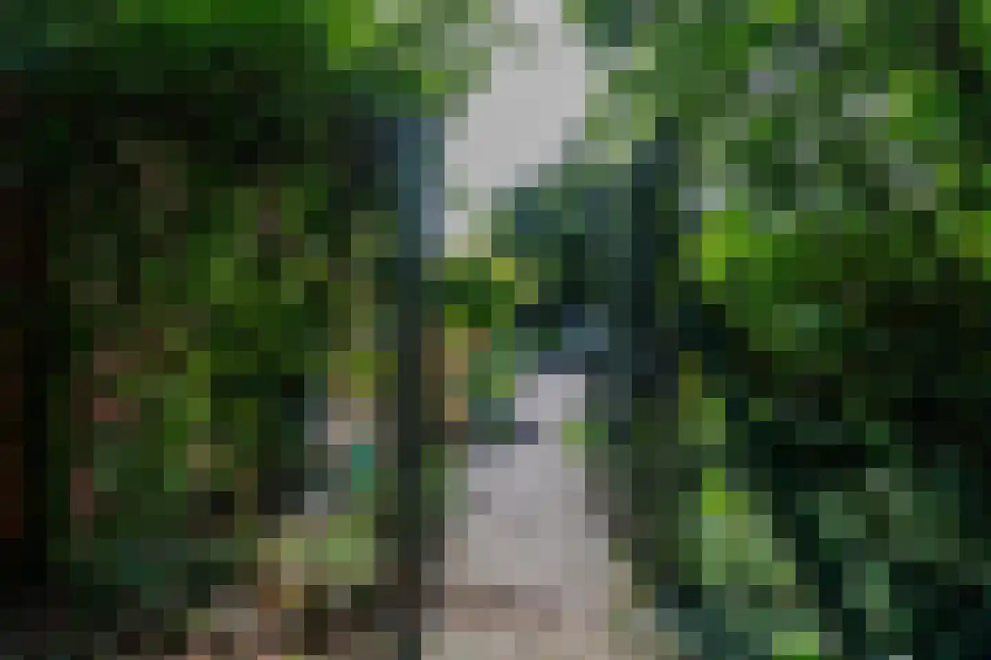 Oostermoer 2 Spijkerboor thumbnail 69