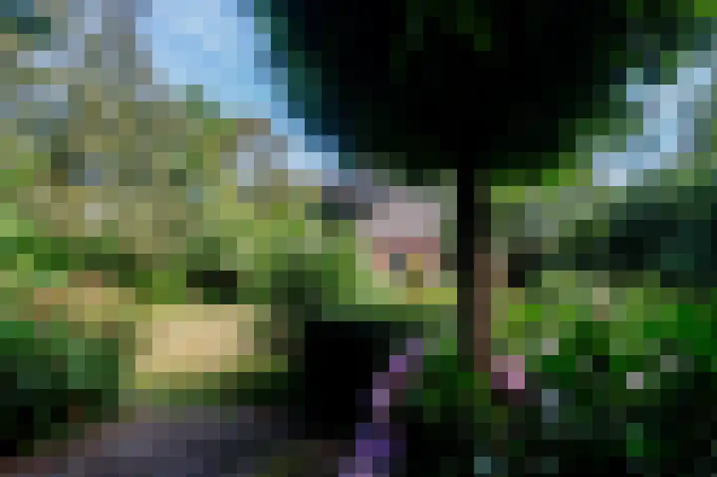 Oostermoer 2 Spijkerboor thumbnail 72