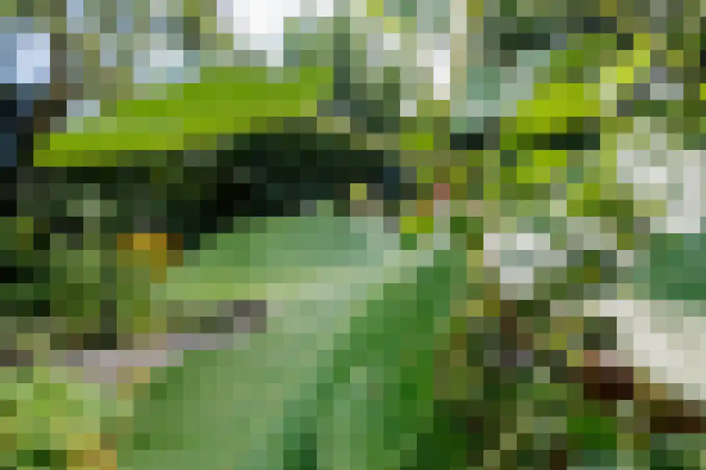 Oostermoer 2 Spijkerboor thumbnail 73