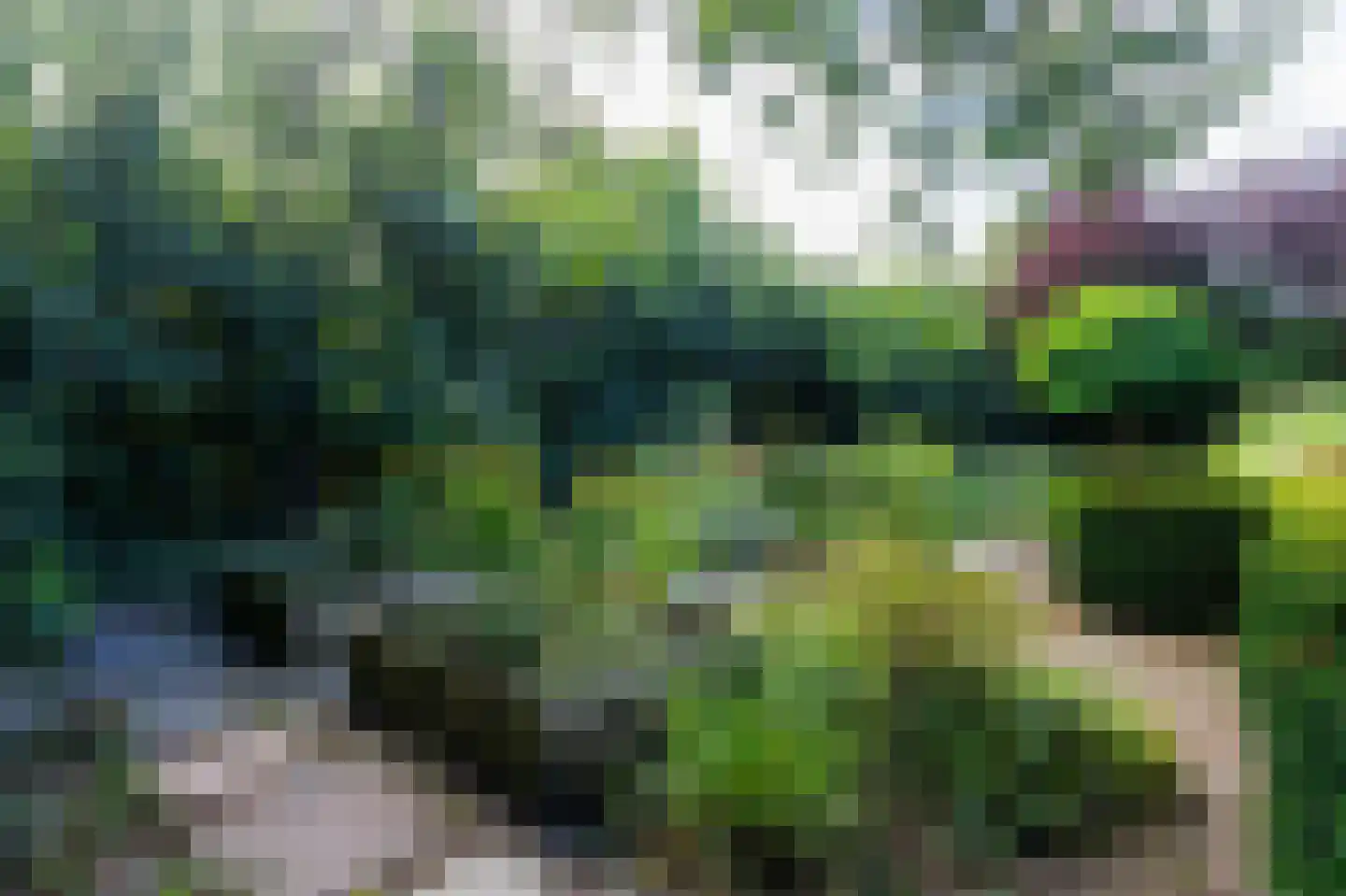 Oostermoer 2 Spijkerboor thumbnail 74