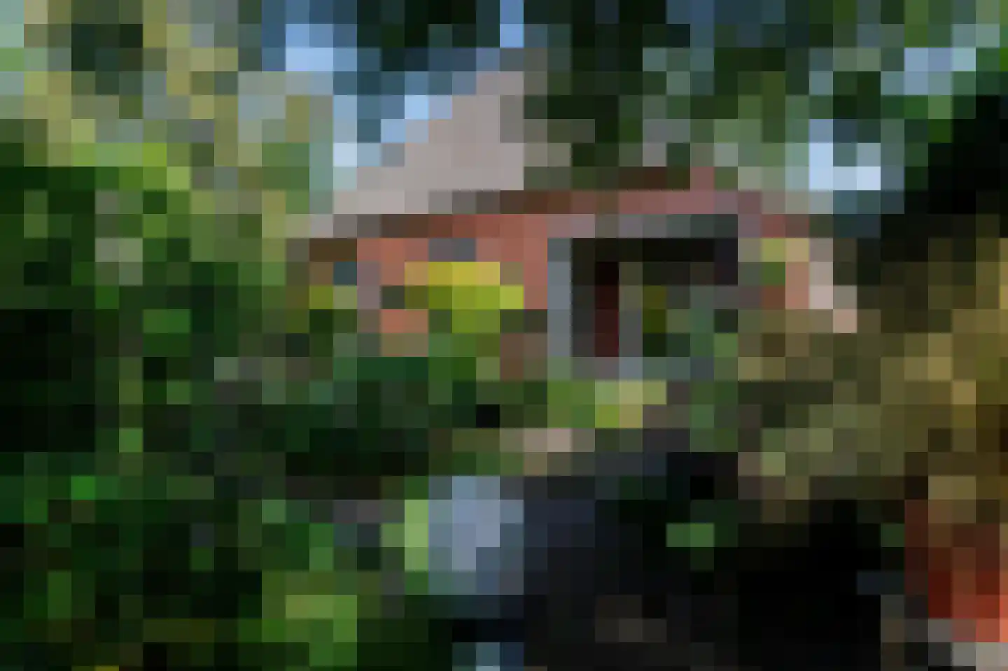 Oostermoer 2 Spijkerboor thumbnail 75