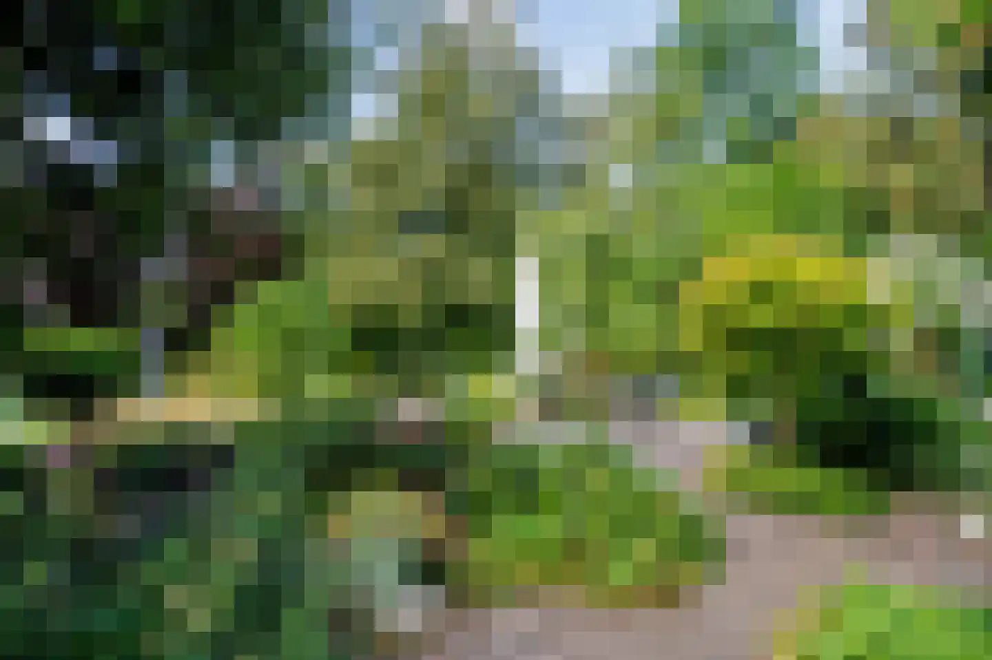 Oostermoer 2 Spijkerboor thumbnail 76