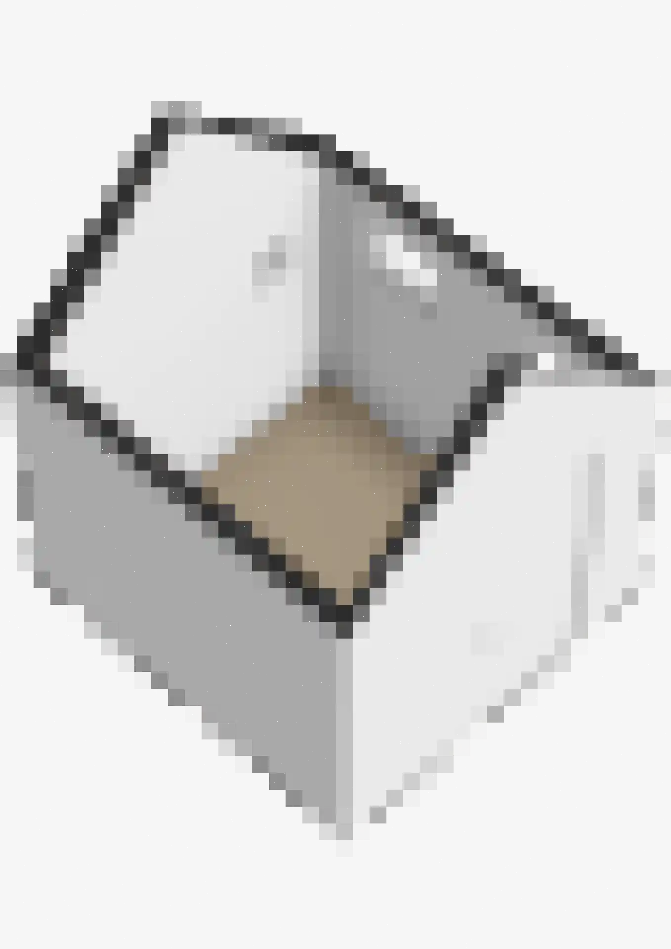 Oostermoer 2 Spijkerboor thumbnail 85
