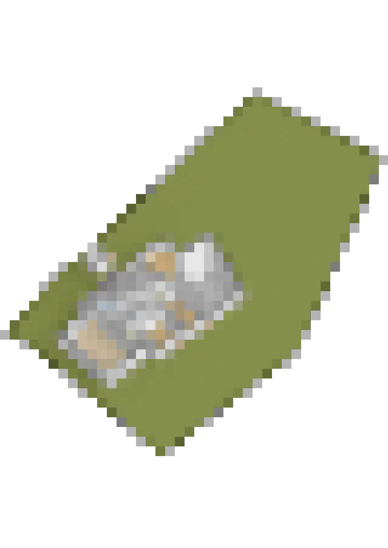 Oostermoer 2 Spijkerboor thumbnail 87