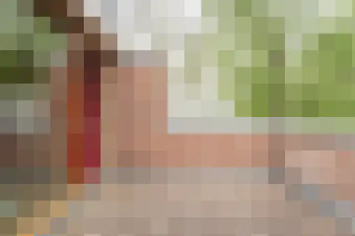 Oostermoer 50 Haarlem thumbnail 43