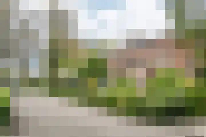 Oostermoer 50 Haarlem thumbnail 46