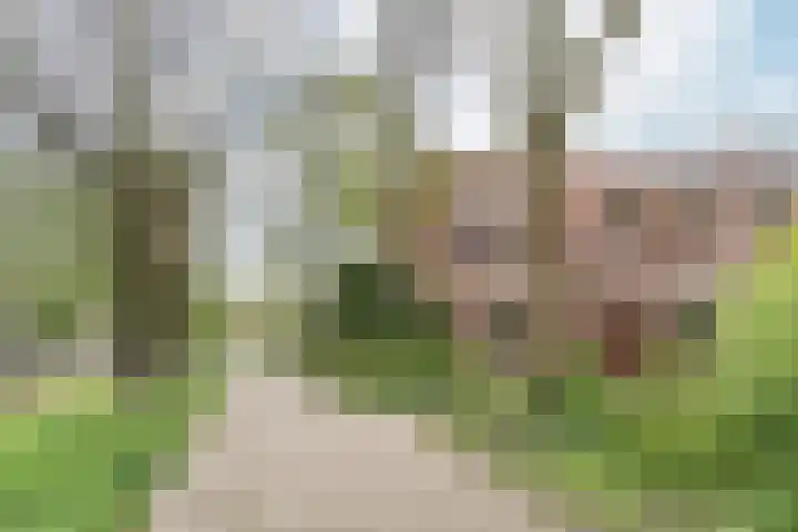 Oostermoer 50 Haarlem thumbnail 49
