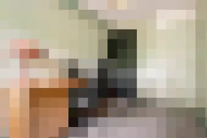 Oostermoer 64 Haarlem thumbnail 31