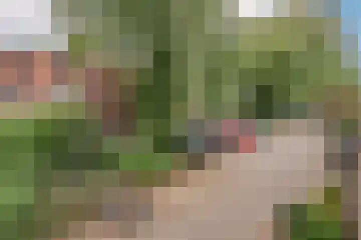 Oostermoer 64 Haarlem thumbnail 38