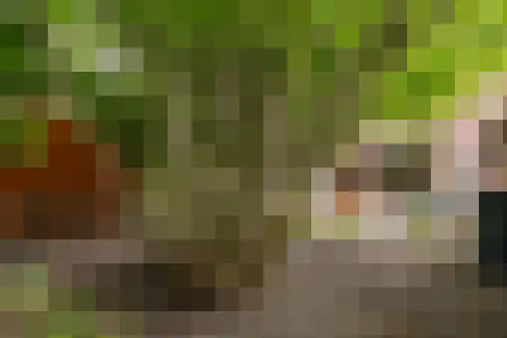 Oostermoer 64 Haarlem thumbnail 48