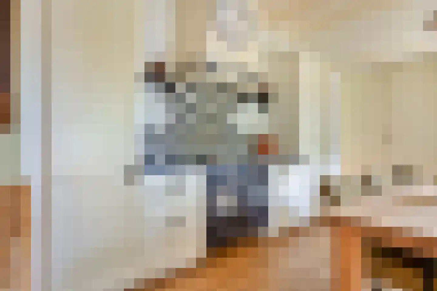 Oostermoer 9 Spijkerboor thumbnail 10
