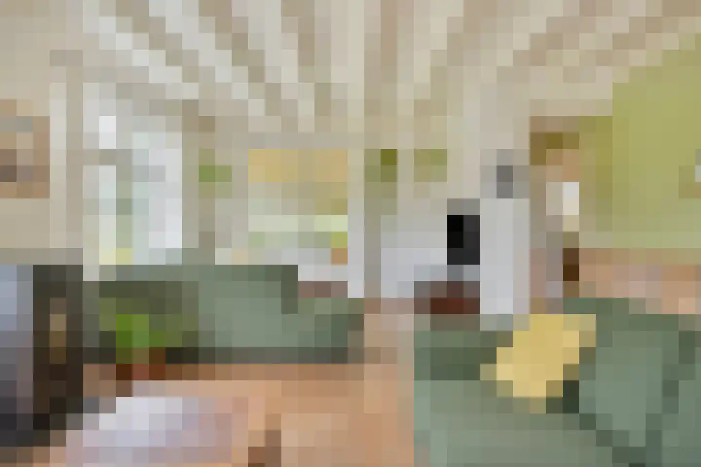 Oostermoer 9 Spijkerboor thumbnail 18