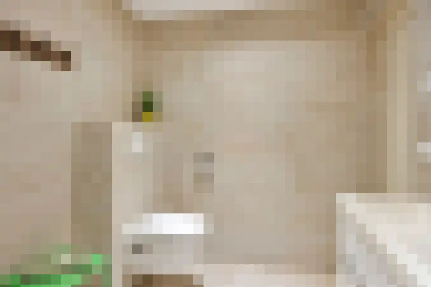 Oostermoer 9 Spijkerboor thumbnail 25